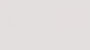 Örnek Ürün Başlığı 2 (Fiyatlı Ürün)